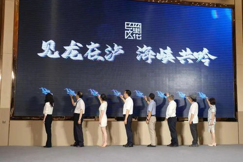 见龙在泸 海峡共吟 2024海峡两岸巴蜀文化艺术季中华龙文化研讨会暨创意设计大赛在四川泸县启动